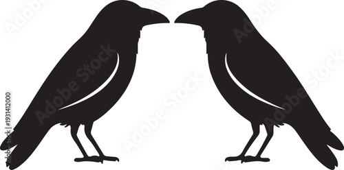 two raven birds on a branch