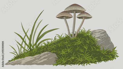 Mushrooms and Moss on Rocks Detailed Illustration.