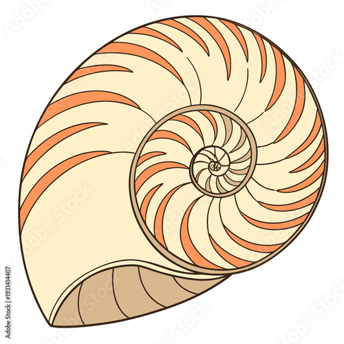 Nautilus Shell with Golden Ratio Spiral Pattern 1.