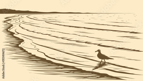 Seagull walking on a sandy beach with gentle waves.