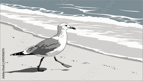 Seagull walking on a sandy beach near the ocean waves.