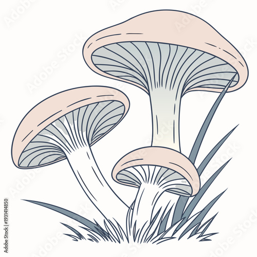 Three mushrooms growing in grass with a simple line art style.