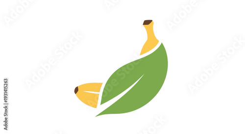 Banana Fruit Leaf Illustration.
