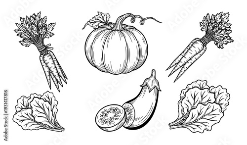 Hand Drawn Vegetable Outline Set with Pumpkin Carrots Eggplant and Lettuce