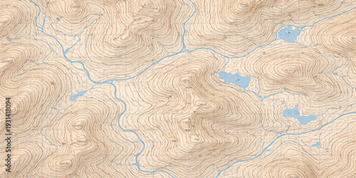 Topographical Terrain: A detailed aerial view of a textured topographical map depicting a landscape of interconnected mountains and river systems.