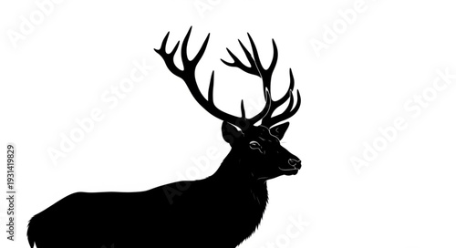 Majestic Deer with Large Antlers.