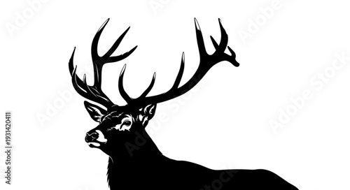 Majestic Deer with Large Antlers.