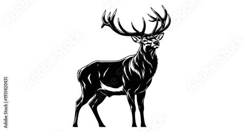 Majestic Deer with Large Antlers.