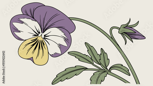 Elegant Pansy Flower Illustration with Delicate Petals and Green Leaves.
