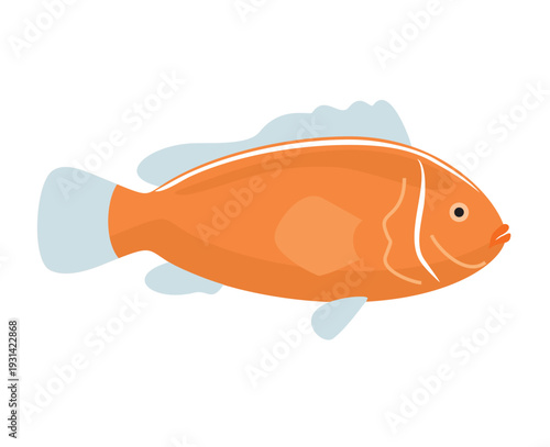 Tropical fish icon. Skunk clownfish. Colorful exotic fish. Vector illustration of cute clownfish. Fish, icon, sea, aquarium. Undersea clownfish