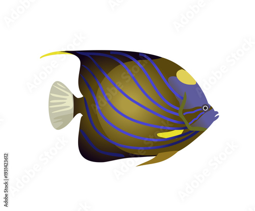 Tropical fish icon. blue ringed angelfish. Colorful exotic fish. illustration of cute clownfish. Fish, icon, sea, aquarium. Undersea angelfish