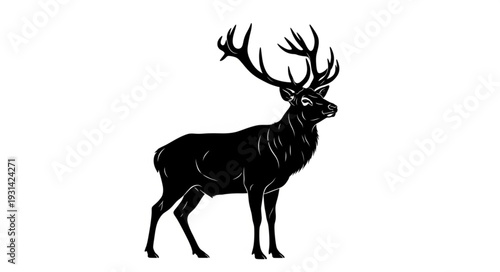 Male Deer with Large Antlers.