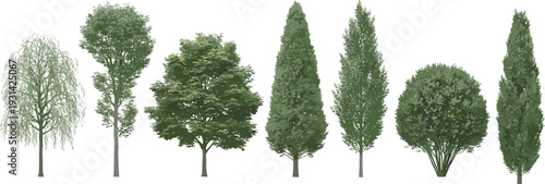 Collection of six diverse tree types including willow, deciduous, and coniferous forms, showcasing foliage variety, shapes, density, and botanical diversity for landscape design illustration