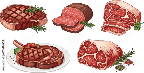 Raw and grilled beef steak cuts collection with rosemary seasoning butcher meat vector illustration set
