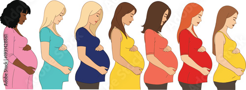 Diverse pregnant women standing in row maternity stages motherhood healthcare and prenatal care vector illustration concept