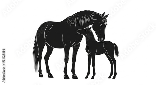 Mother Horse and Foal Silhouette.