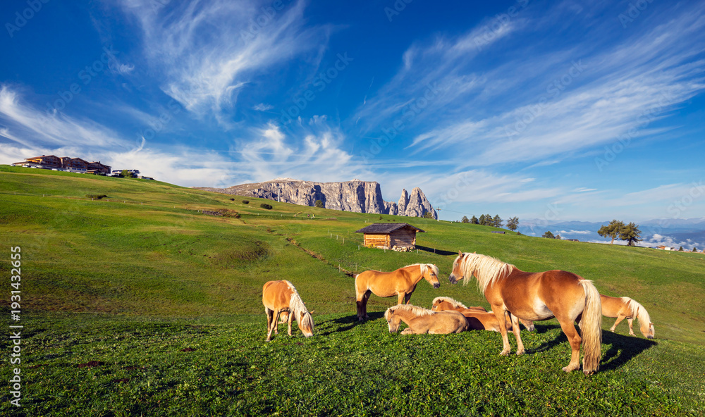 Fototapeta premium Italian nature landscape, scenic Italy countryside, Mediterranean natural beauty, rolling hills and mountains, alpine and coastal scenery, picturesque Italian panorama, travel destination Europe, dram