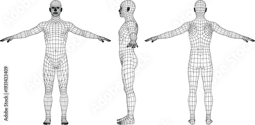3D wireframe human male body model front side back views anatomy reference mesh grid figure for 3D modeling rigging animation vector