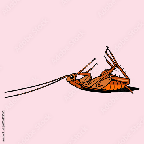 Dead Cockroach Lying Upside Down Vector Illustration