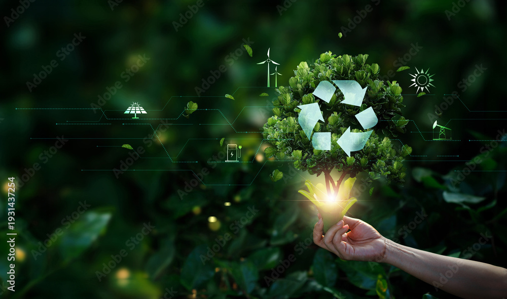 Obraz premium Hand holding with tree growing with icon recycle on tropical nature green nature, Earth day, Sustainable and economical, Protection Ecology and Environment concept.
