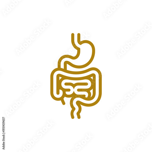 A simple illustration of the human digestive system anatomy