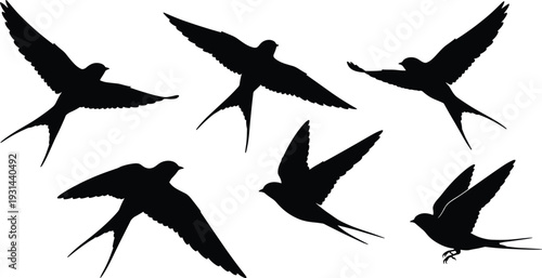 Swallow bird silhouettes set, flying avian black vector illustration isolated on white background for logo and design