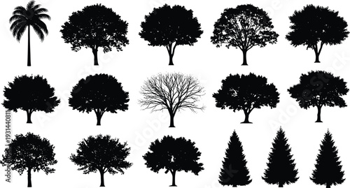 Collection of black tree silhouettes featuring palm oak maple and pine trees for landscaping design environmental conservation nature projects autumn forest and outdoor park scenery