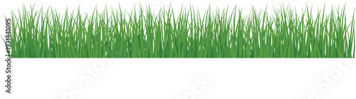 Seamless green grass border vector illustration featuring lush garden blades and natural meadow lawn elements for summer landscape backgrounds, outdoor nature branding, and ecological designs.
