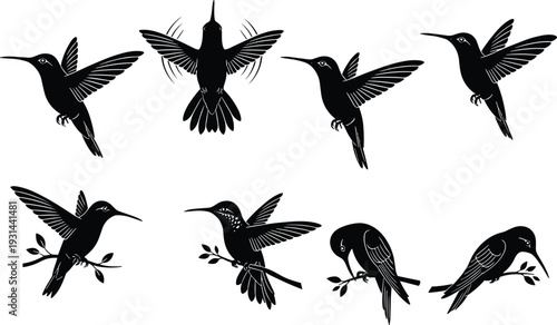 Hummingbird silhouettes collection set, flying and perched birds black vector illustration isolated on white background for design