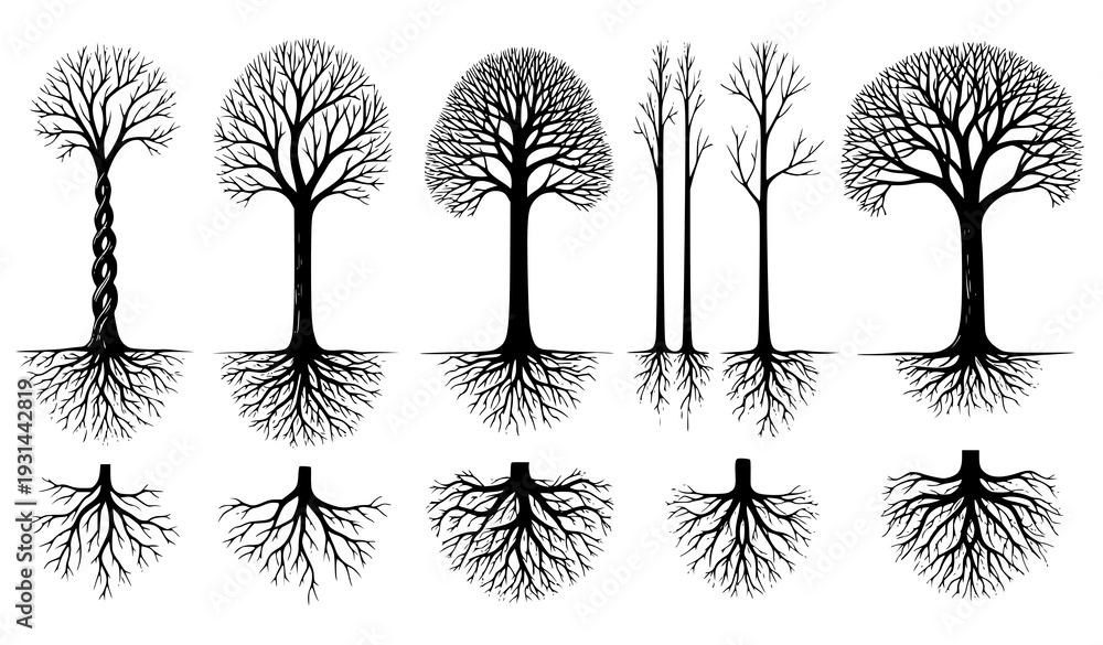 Fototapeta premium Black leafless tree and root silhouette collection hand drawn vector illustration isolated on white background