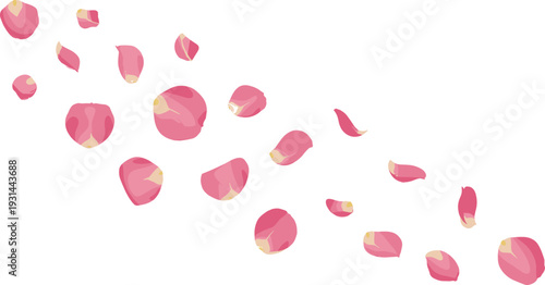 Pink rose petals falling scattered floral elements romantic wedding decoration vector illustration isolated on transparent background