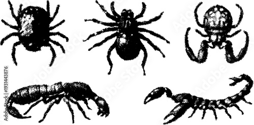 Scorpion, spider, and tarantula set. Black and white vector illustration with halftone dotted texture and detailed sketch style.