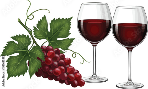 Red wine glasses with grape cluster and vine leaves elegant winery drink composition vector illustration isolated on white background