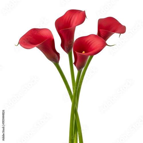 Wallpaper Mural A bouquet of red calla lilies on a white background Torontodigital.ca