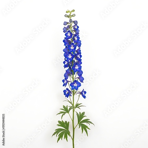 Wallpaper Mural A tall blue delphinium flower with green leaves Torontodigital.ca