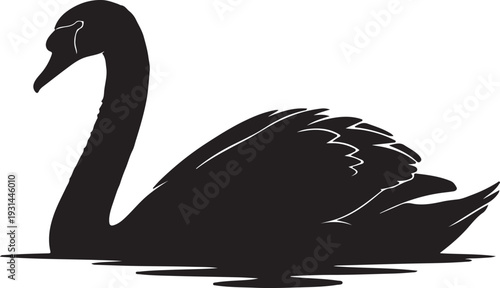 Black Swan Swimming Silhouette Vector Illustration