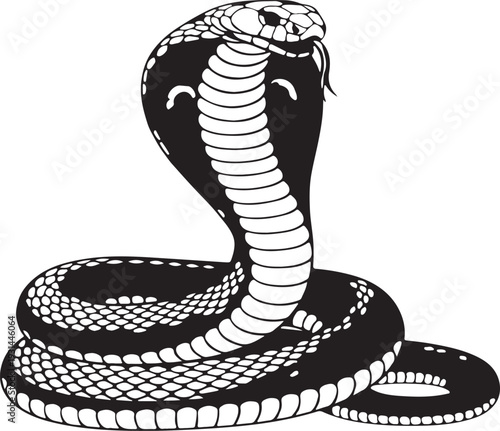 Black and White Cobra Snake Vector Illustration