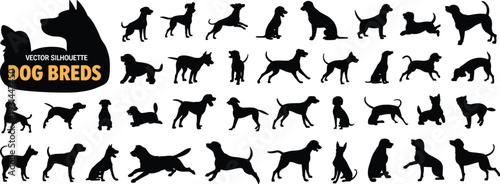 Collection of professional dog breed vector silhouettes featuring various canine species in standing, sitting, jumping and running poses for pet design.