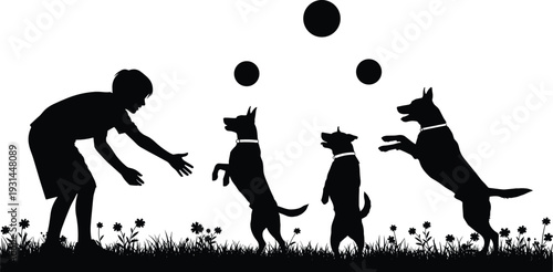 Boy playing with dogs silhouette in grass with flying balls isolated on white background vector illustration