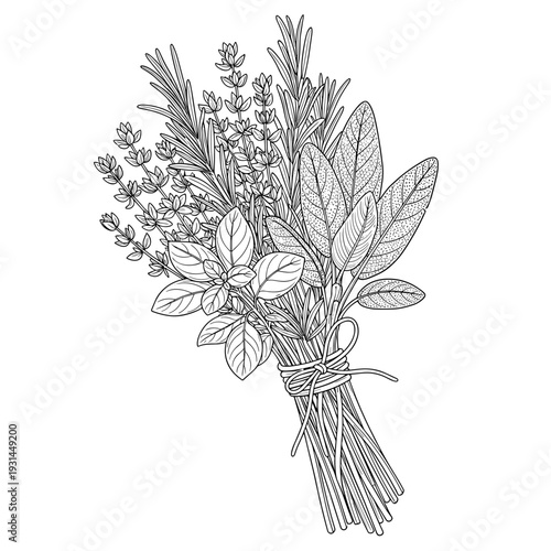 Intricate illustration of a herb bundle pack, meticulously isolated on a crisp white background, showcasing detailed leaves and stems tied together
