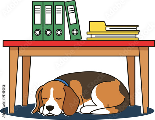 A brown and white beagle dog sleeping under a wooden table with green binders and yellow books on