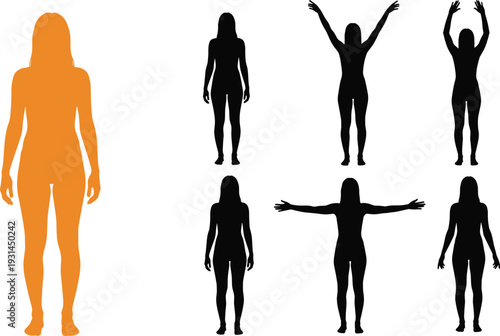 Female body silhouette set in different standing poses isolated on white background anatomy vector illustration