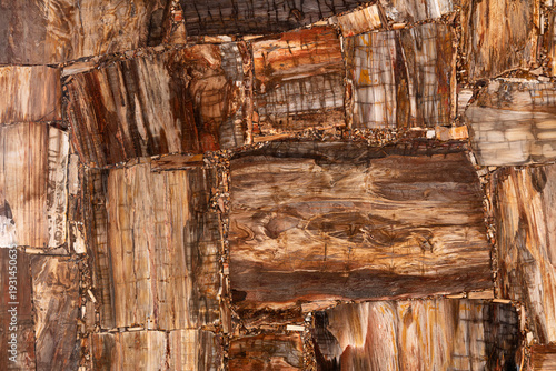 Wallpaper Mural Petrified wood matt texture. Semi precious pattern. Exclusive luxury gemstone background. Material for unique interior, exterior design decoration. Brown luxury matt mineral texture. Torontodigital.ca