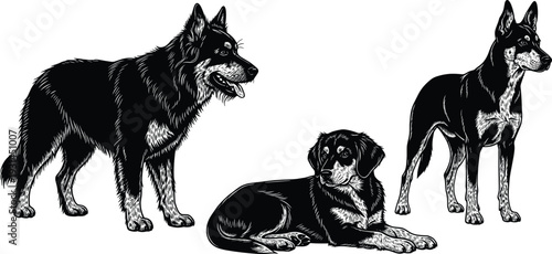 Realistic dog silhouettes in standing and lying poses isolated on white background detailed animal vector illustration