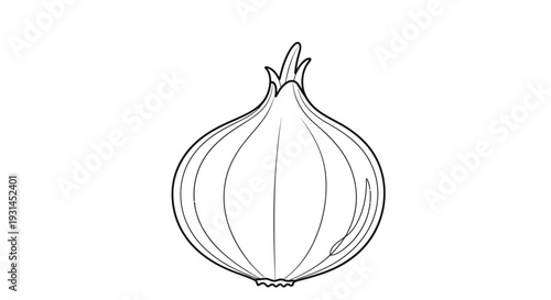 Simple line drawing of an onion with visible layers and a stem