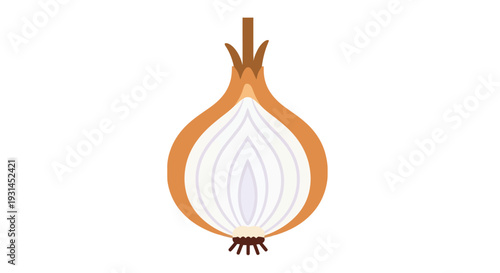 Simple illustration of a halved onion with visible layers and roots