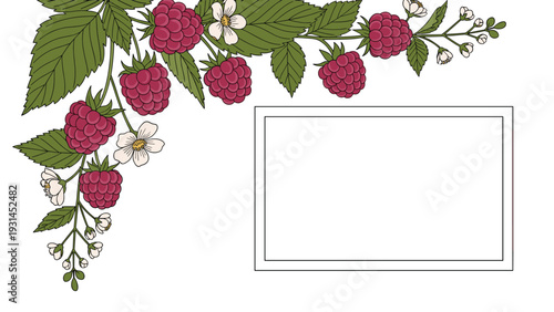 Decorative border made of fresh pink raspberries green leaves and white blossoms surrounds a blank white rectangular frame for text.