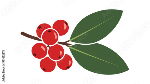 Small branch bearing a cluster of ripe red berries and two large dark green leaves serves as a natural botanical illustration for autumn.