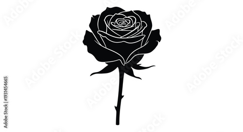 Elegant black rose in full bloom a dramatic floral silhouette