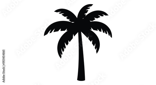 A striking black palm tree against a white background silhouette
